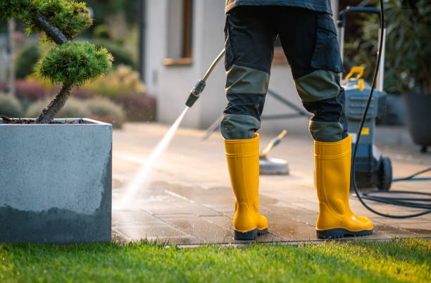 Deck Cleaning Services in Smithton, IL